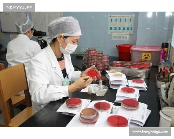 羽坛巾帼破茧成蝶:从决赛之路到体育精神的重塑与中国体育未来新征程 羽坛巾帼破茧成蝶:从决赛之路到体育精神的重塑与中国体育未来新征程